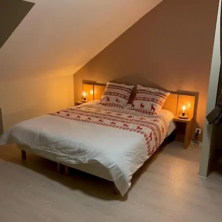 Le Nivelet - Duplex Aux Pieds Des Pistes Toute L'annee Apartment La Feclaz